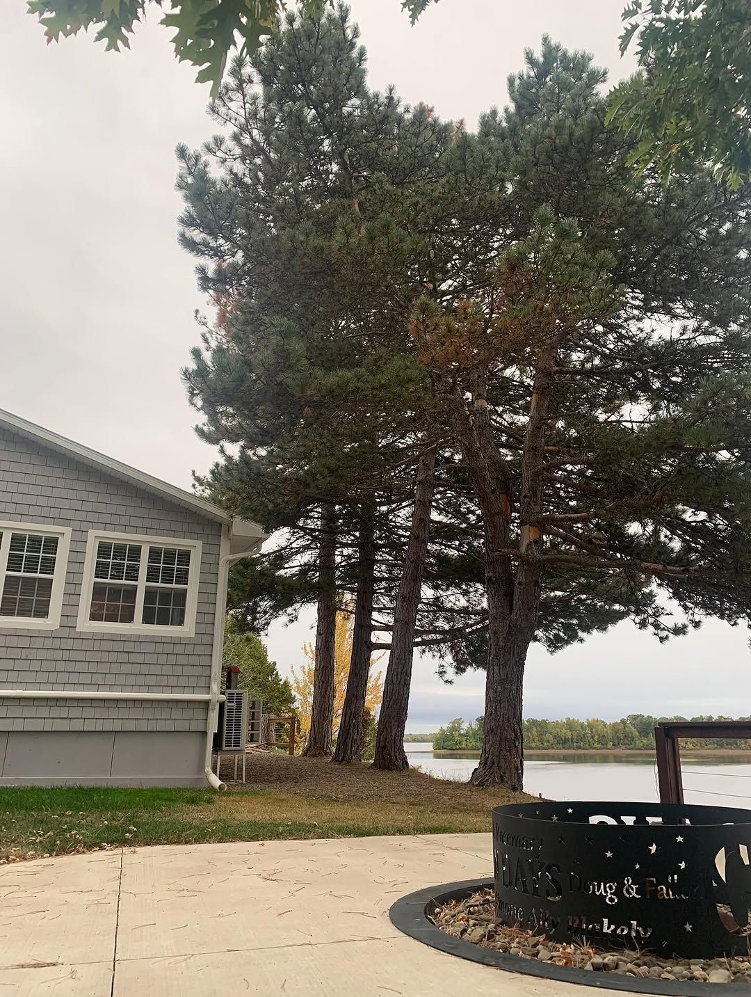 Sticky pines removed beside a lakeside house