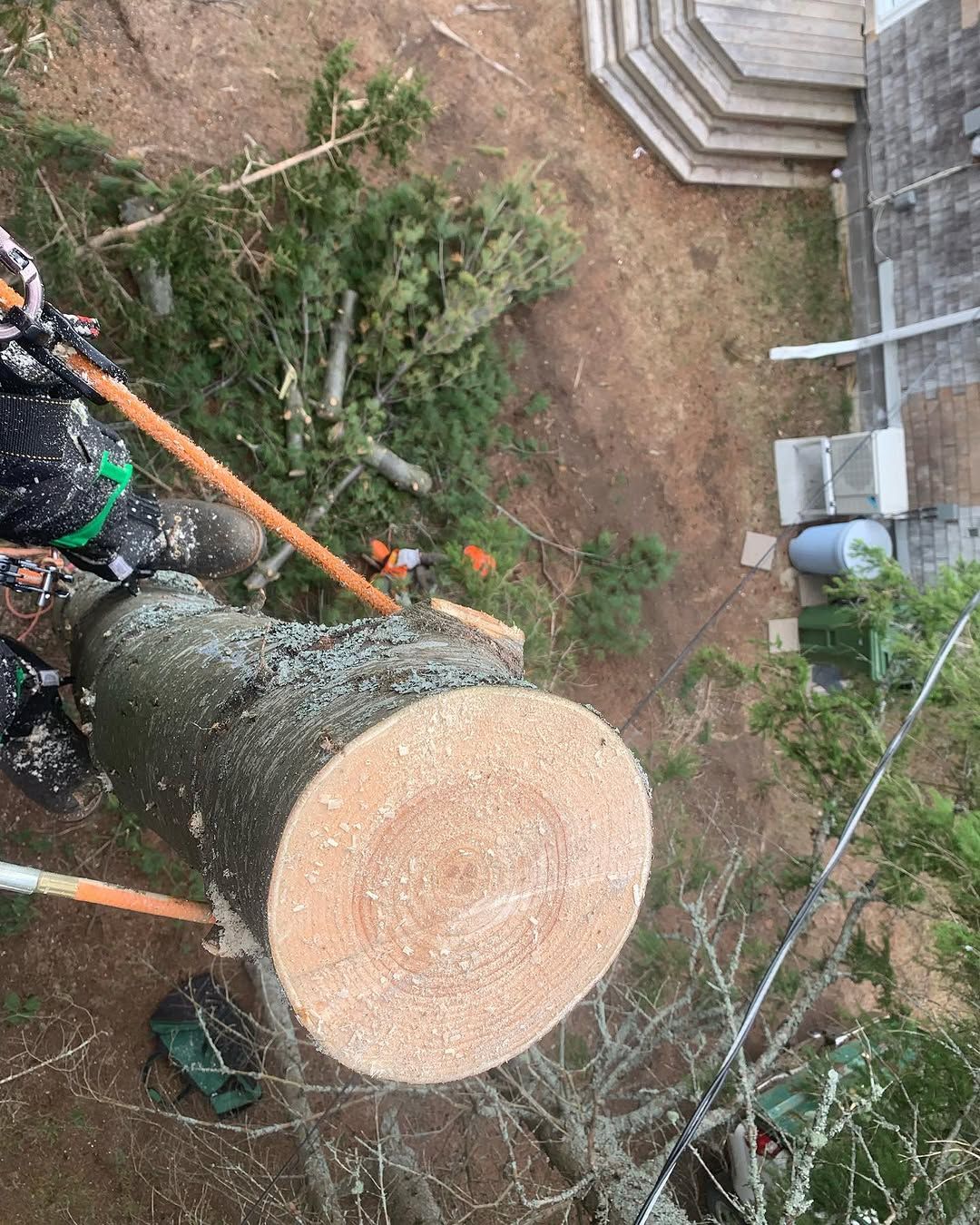 Climber's view rigging down a big log section