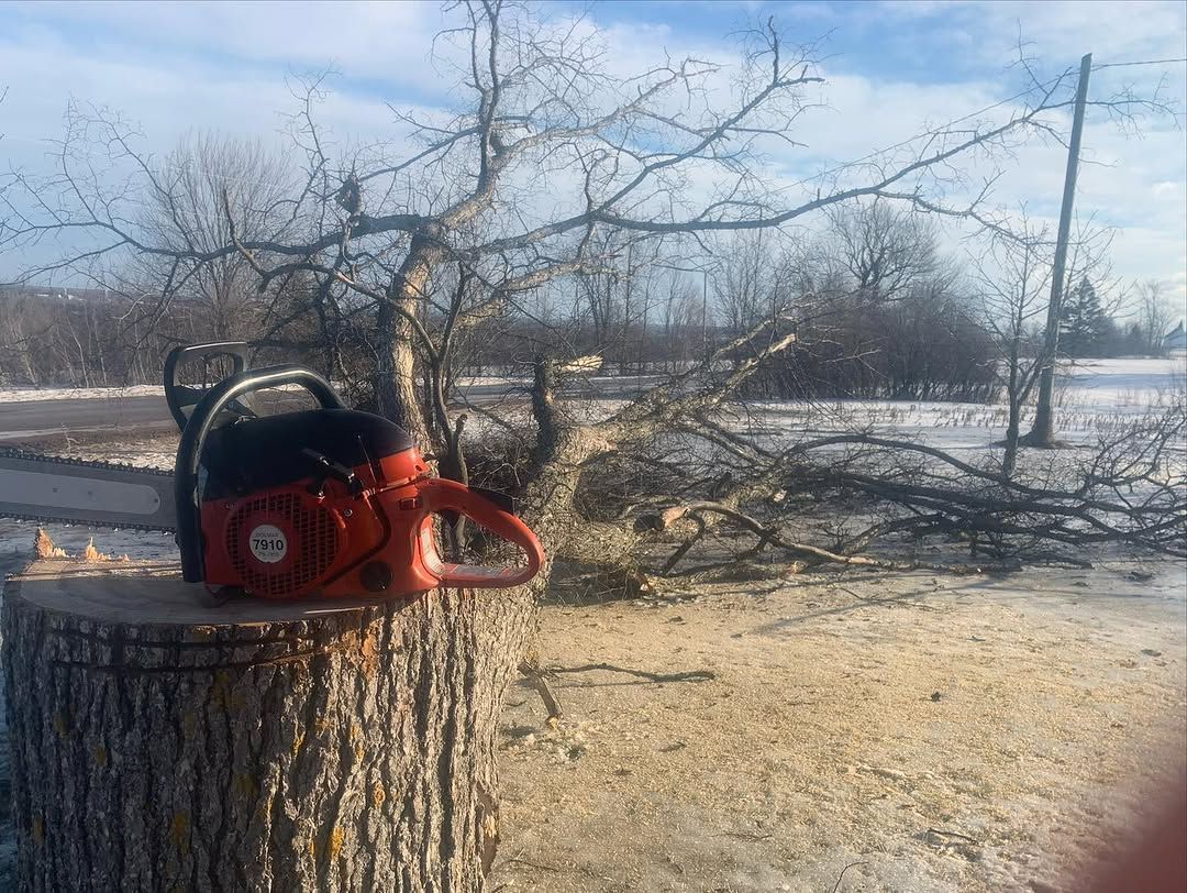 Storm damage cleanup with chainsaw on site
