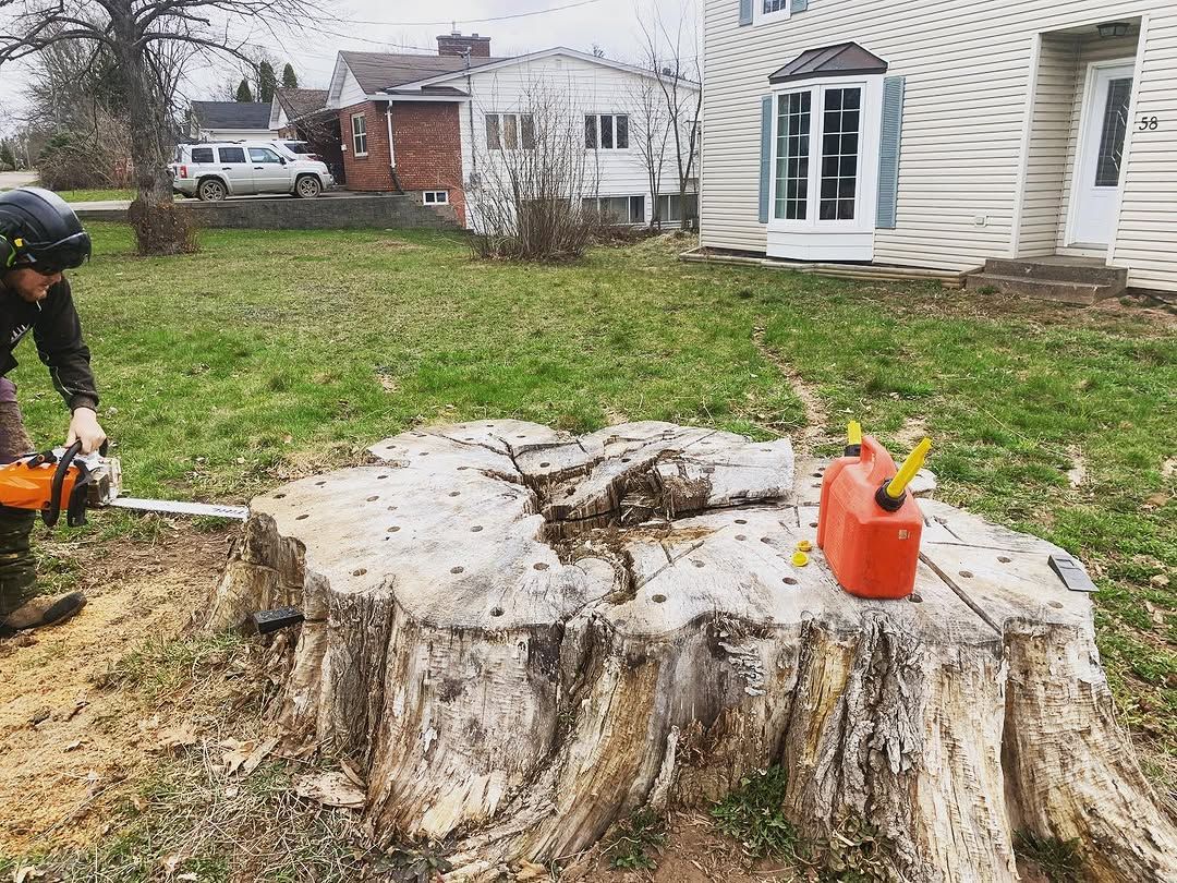 Stump grinding job in a backyard near Oromocto NB